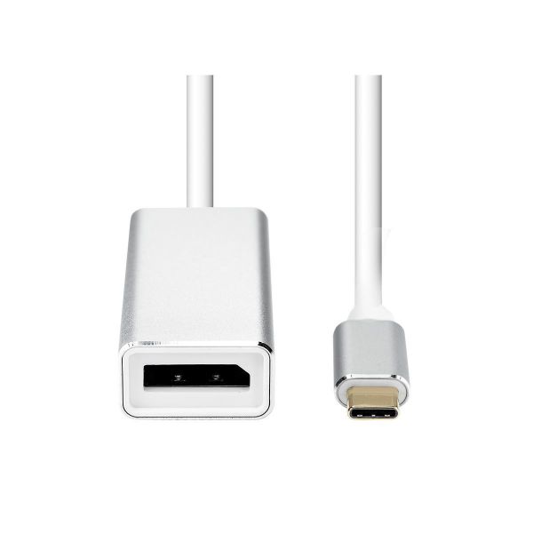 Picture of USB-C to DisplayPort Adapter