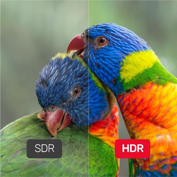 Picture of 1m DisplayPort V1.4 Cable Supports 8K@60Hz 4K@144Hz & 1440p@240Hz 32.4Gbps