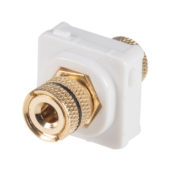 Picture of Black Speaker Binding Post. Gold Plated