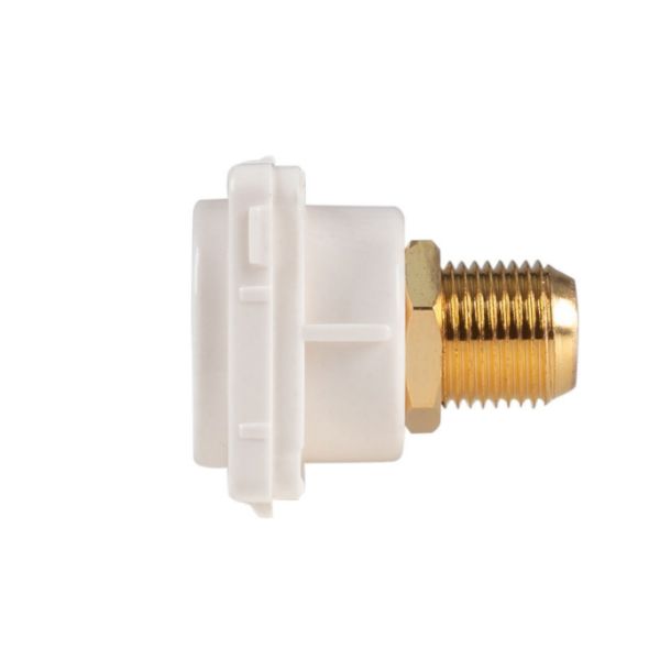 Picture of White RCA to F Connector. Gold Plated