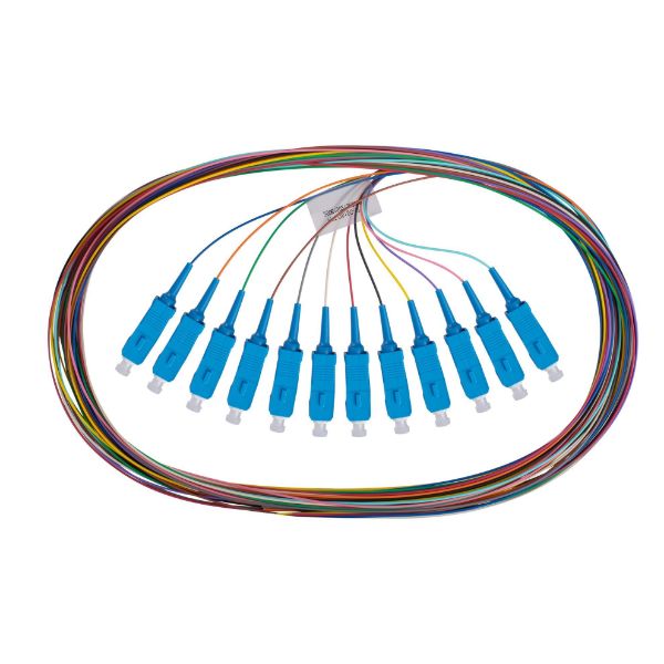 Picture of 2M SC Pigtail G657A1 OS1/OS2 Compliant 12 Pk Colour Coded 9 SM Fibre Tight Buffer LSZH Jac