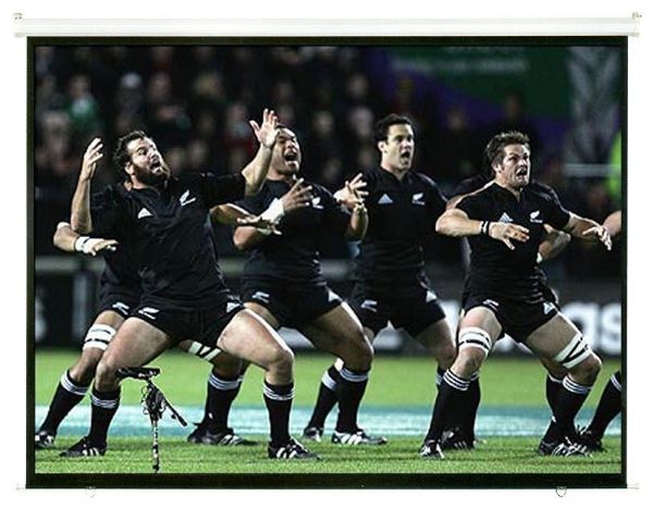 Picture of 108'' Projector Screen Manual Self Locking Matte 16:9 Aspect ratio