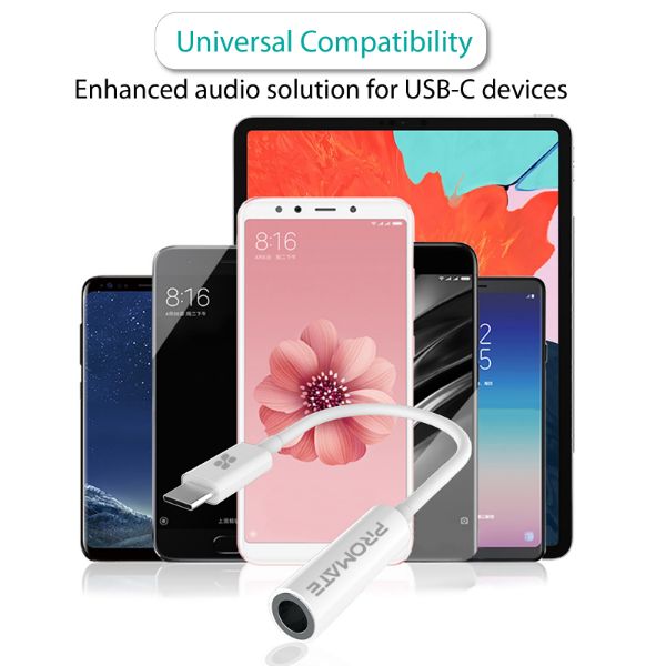 Picture of Dynamic Stereo USB-C to 3.5 AUX Headhone Jack Adapter Digital to Analog Converter.