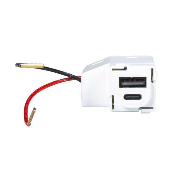 Picture of USB-A/C Keystone Charging Charging Mechanism Input 100-240V 60Hz Output 5VDC 3A